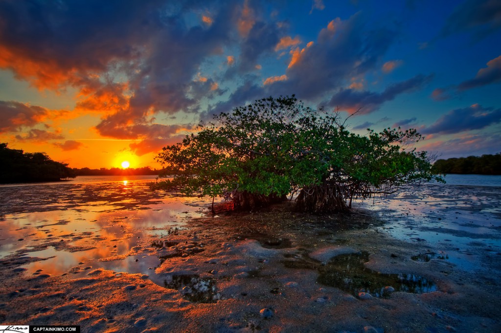 Little Mangrove Island at Sunset Over Lake Worth Lagoon